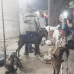 Eid al-Qurban celebrated today – special prayers will be held at mosques & Idgah