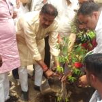 Mayor joins ‘One Tree in the Name of Mother’ campaign, plants sapling