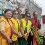 Mass tree plantation by Lions Club Int’l